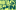 Event Collection Header