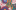 Brand Teaser