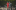 Event Collection Header