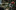 Event Collection Header