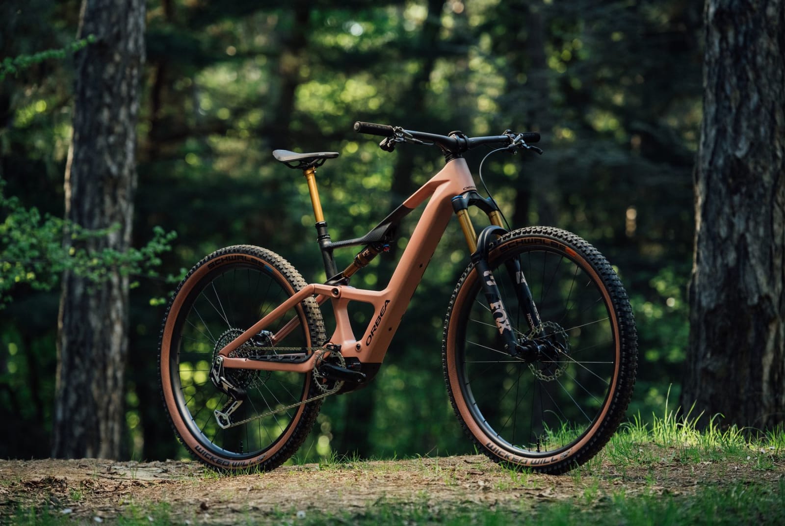 Event Collection Header