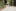 Event Collection Header