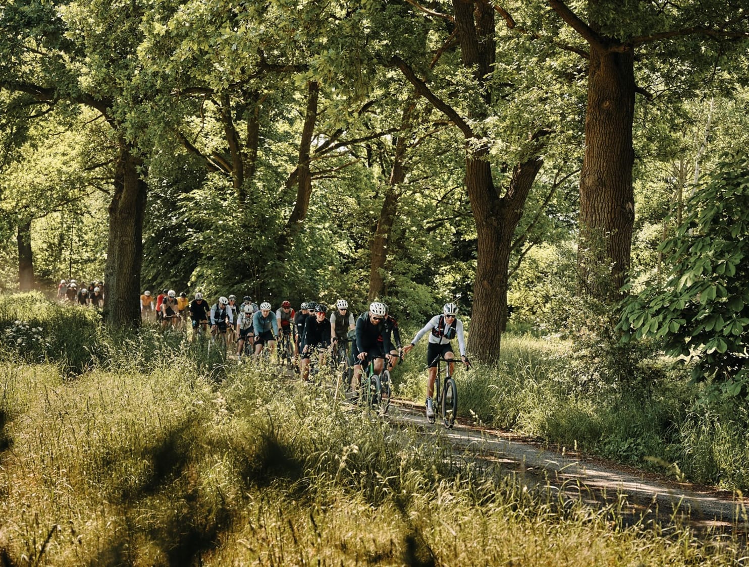 Event Collection Gallery