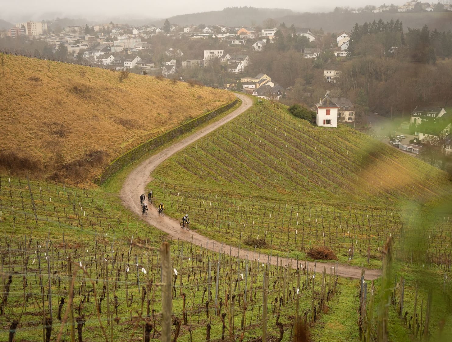 Event Collection Gallery