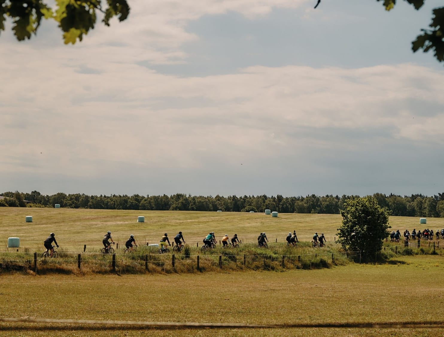 Event Collection Gallery