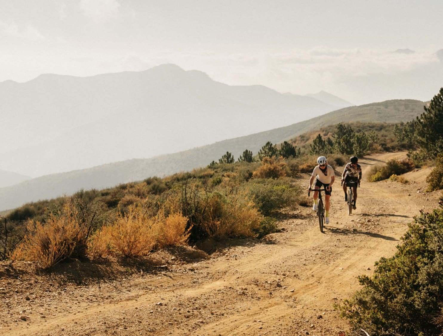 Content Block Gallery