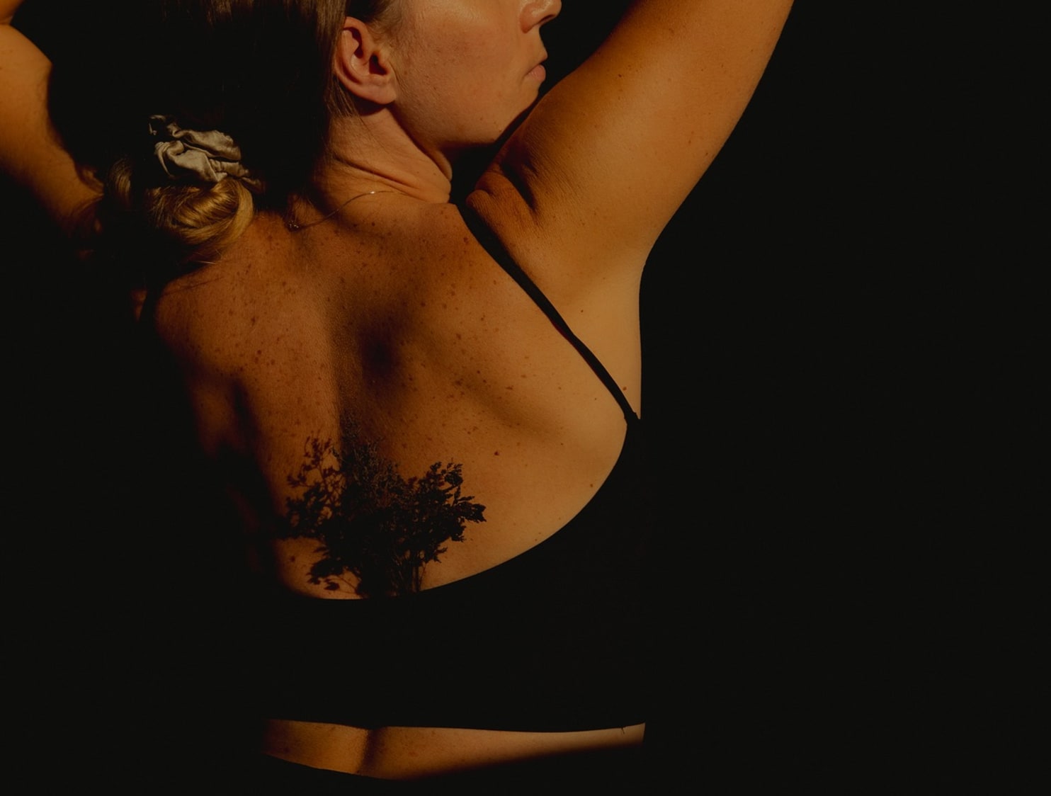 Event Collection Gallery