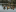 Event Collection Gallery