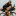 Host Image