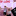 Event Collection Header