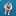 Host Image