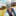 Host Image