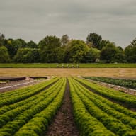 Canyon x Dünne Arme, Dicke Beine Road Rideout