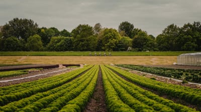 Canyon x Dünne Arme, Dicke Beine Road Rideout