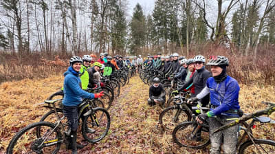 Klick Klack - TUESDAY WILD(ERNESS)