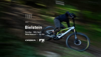 Orbea Wild Rideout 4