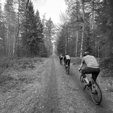 Event Collection Header