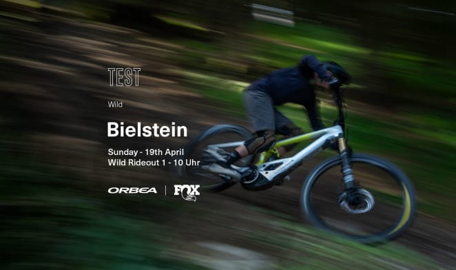 Orbea Wild Rideout 4