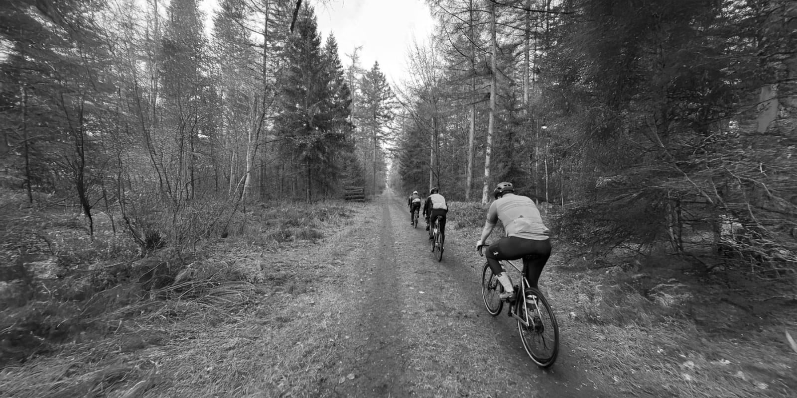 Event Collection Header