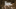 FCF Community Stammtisch – Routenplanung powered by komoot