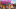 Event Collection Header