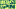Event Collection Header