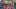 Event Collection Header