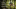 Event Collection Header