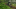 Event Collection Header