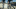 Event Collection Header