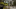 Event Collection Header