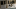 Event Collection Header