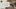 Brand Header