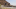 Brand Header