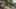 Event Collection Header
