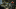 Event Collection Header