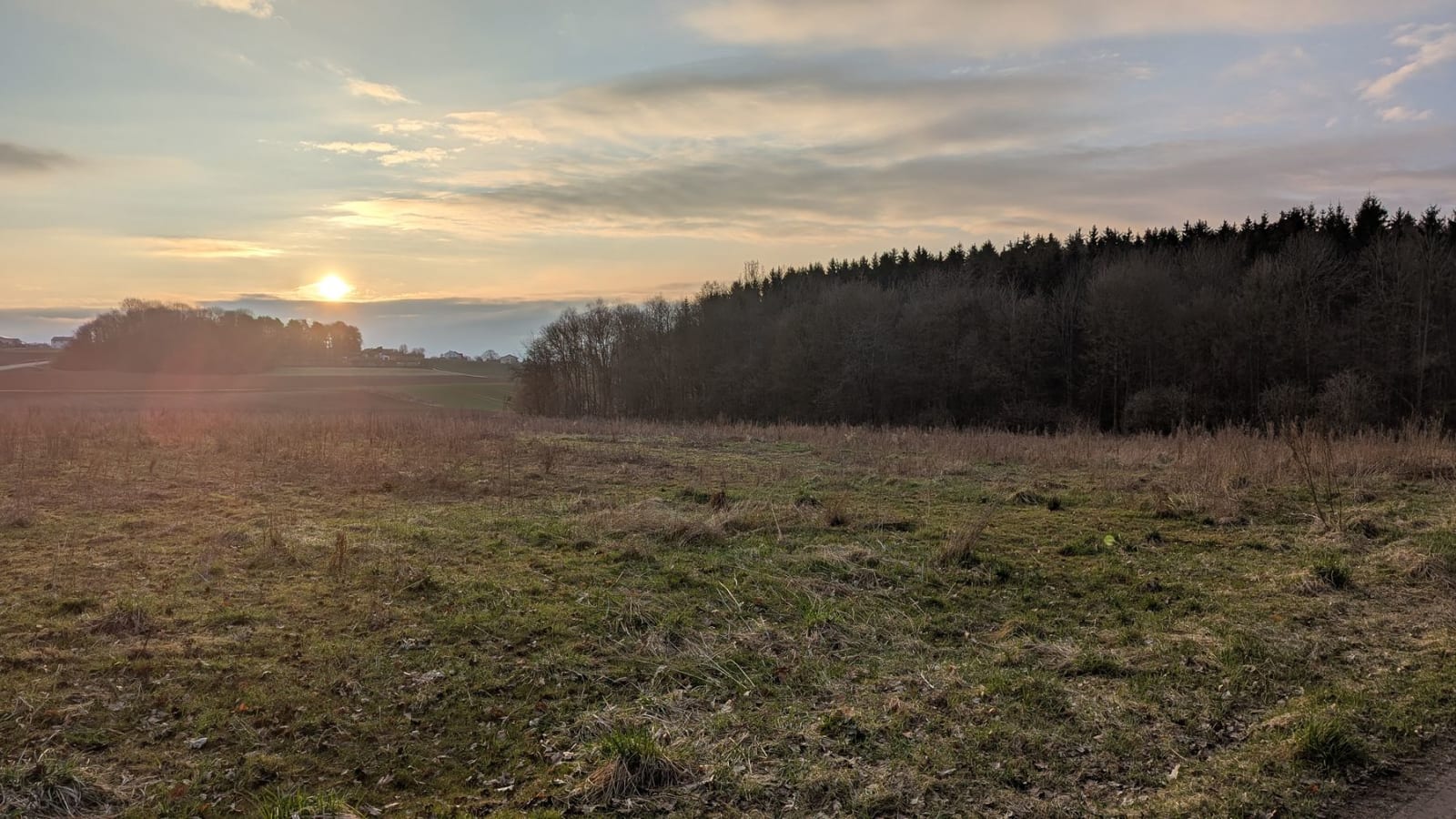 Champagner Gravel und noch mehr