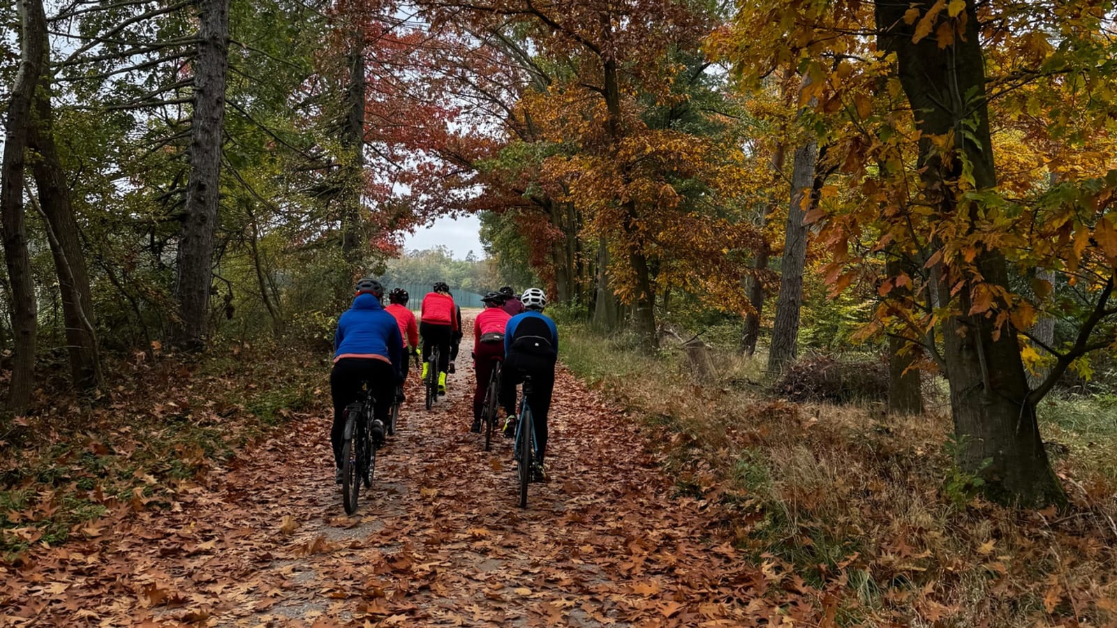 Girlsride November 2025 // Gravel
