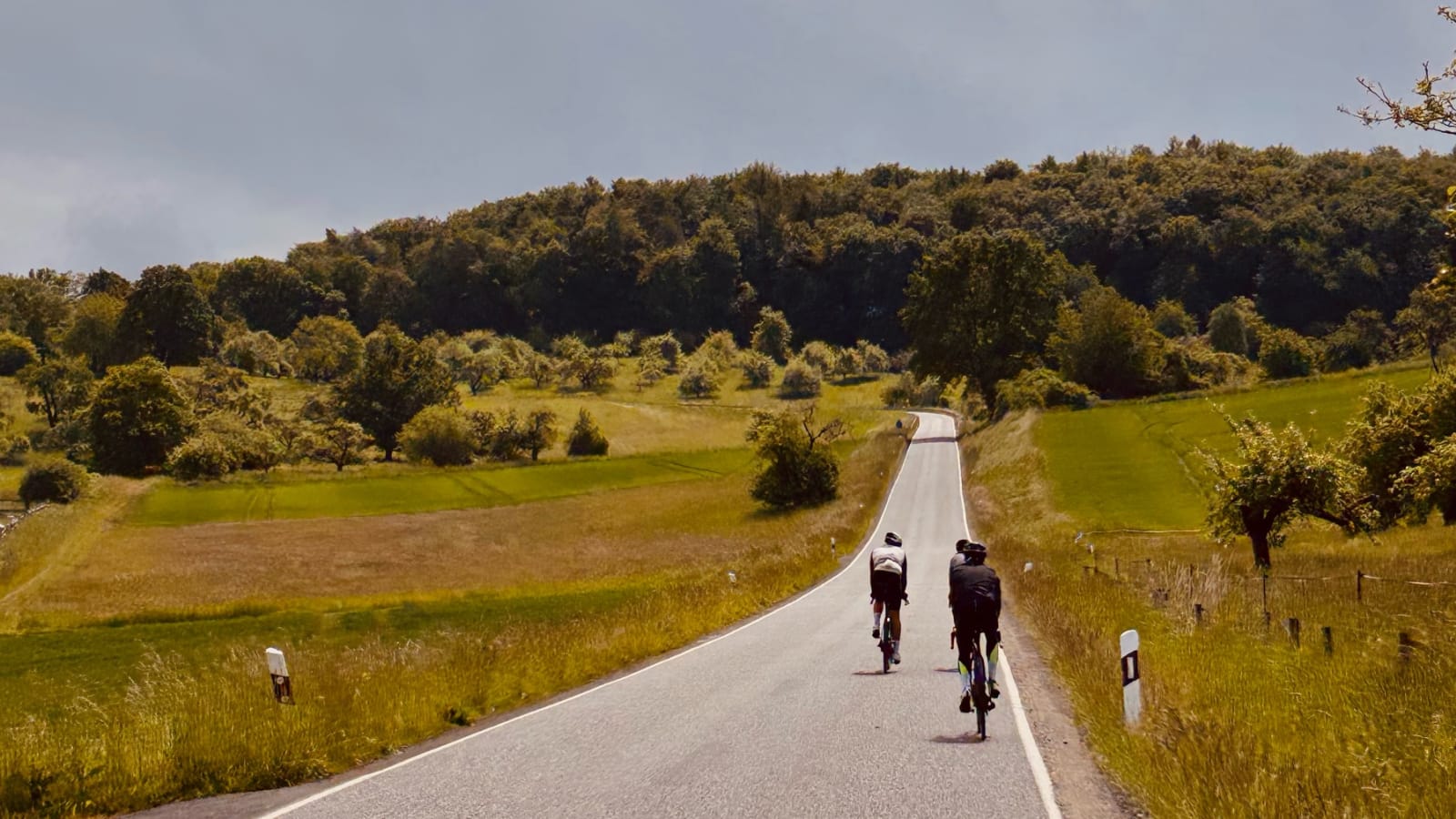 OFFGRID x Hi5 x Rover Coffee | Community Rideout  (Fast Mixed Road 28-30er Pace)