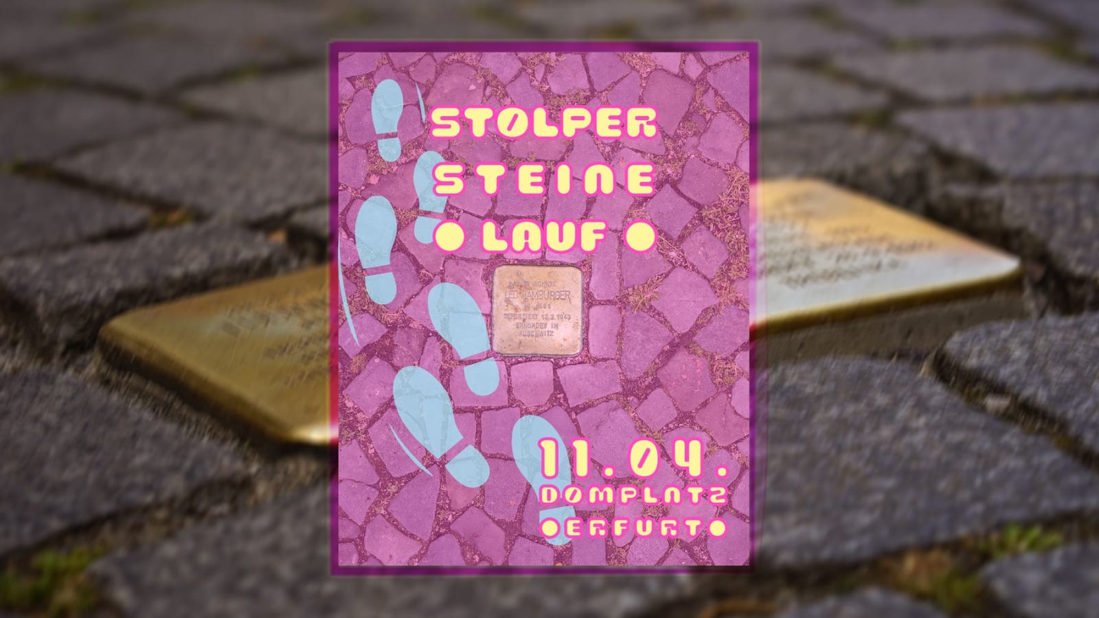 Alley Cat "Mallorca Trainingscamp"