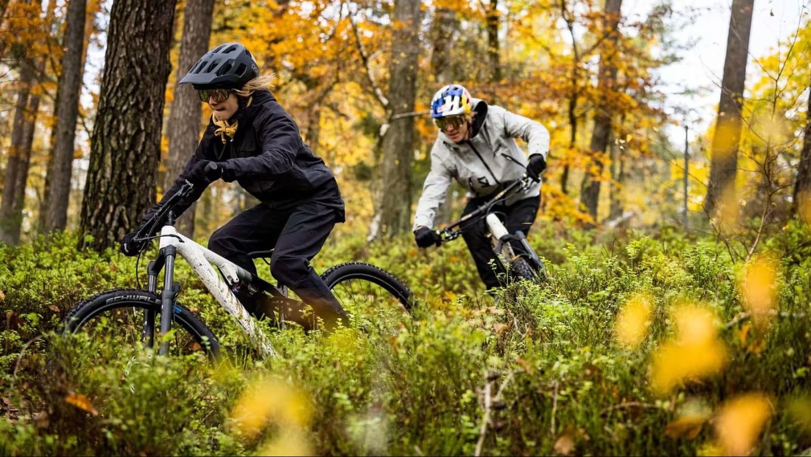 Event Collection Header