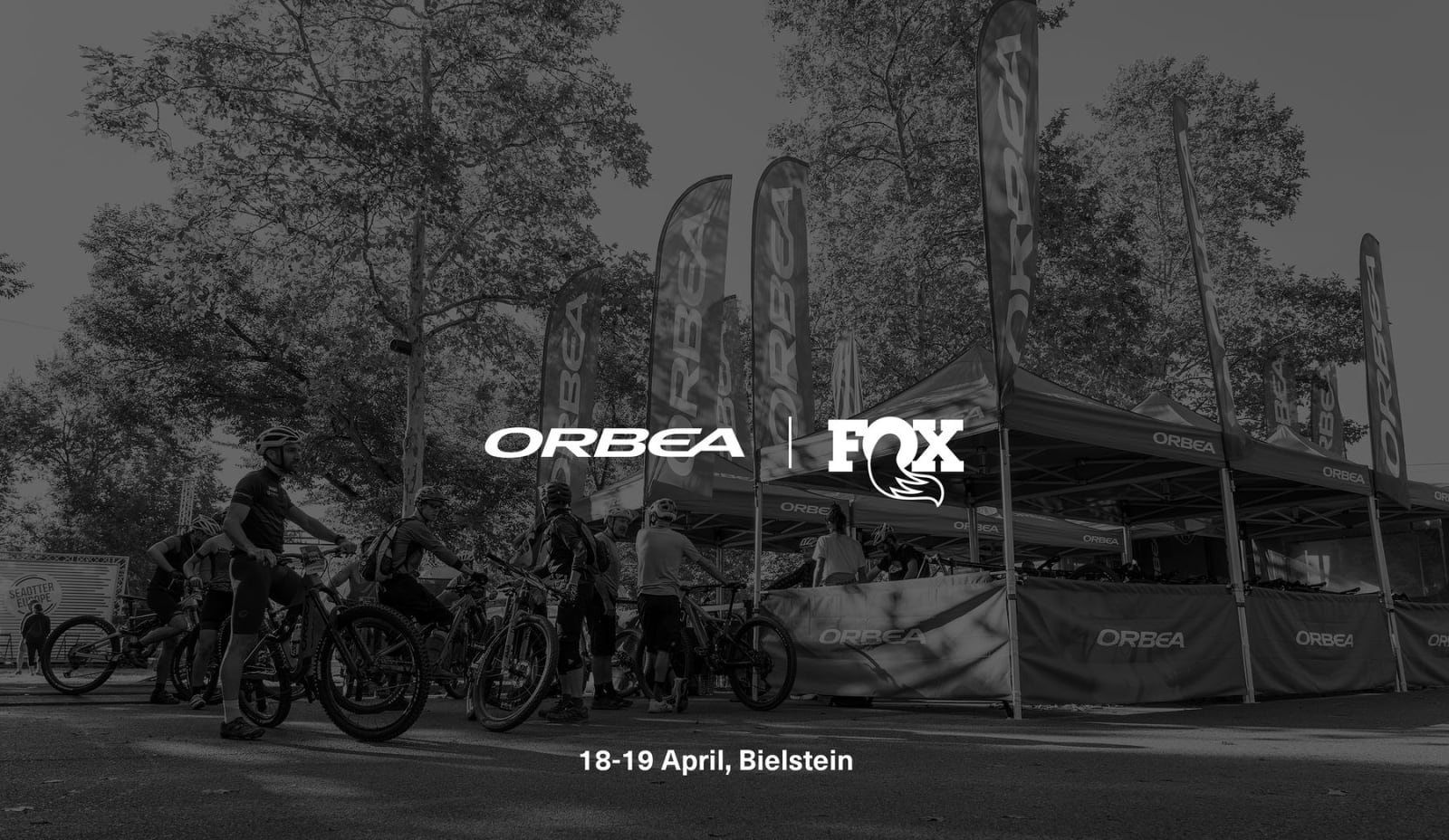 Event Collection Header