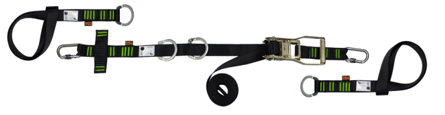 Safewalk livline PRO
