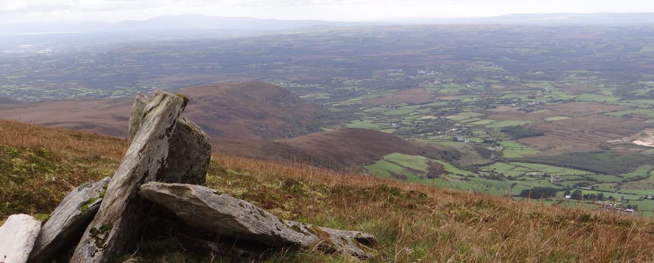 Grove Membership Grove of Anu