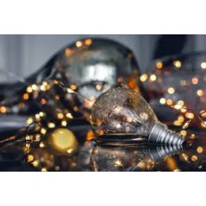 Bose Earphones DE