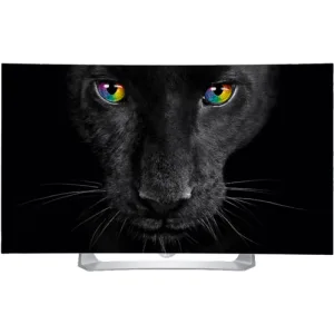 LG 55" TV