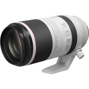 Canon RF 100-500mm f/4.5-7.1L IS USM Lens