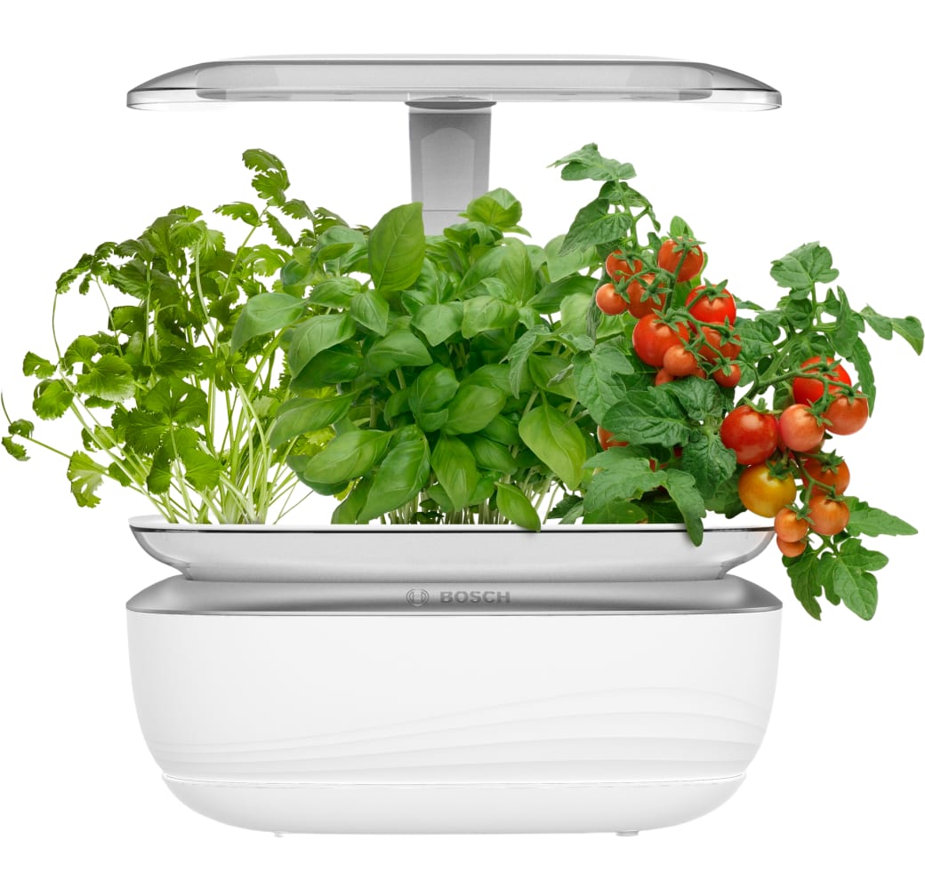 White Bosch SmartGrow Life MSGP3L.1