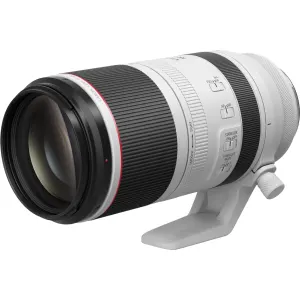 Canon RF 100-500mm f/4.5-7.1L IS USM Objektiv