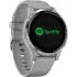 Gray Garmin Vivoactive 4s GPS-Sportuhr.4